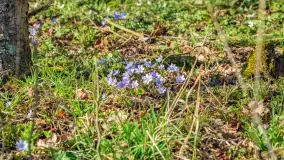 Wiosna już jest, taka prawdziwa, zielona i ciepła - zdjęcie 51