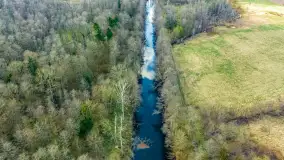 Wiosna już jest, taka prawdziwa, zielona i ciepła - zdjęcie 46