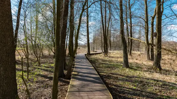 Plaża i ścieżka edukacyjna w Czernikach, jezioro Mój - zdjęcie 6