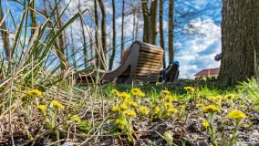 Plaża i ścieżka edukacyjna w Czernikach, jezioro Mój - zdjęcie 2