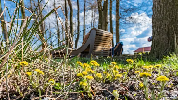 Plaża i ścieżka edukacyjna w Czernikach, jezioro Mój - zdjęcie 2