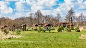 Plaża i ścieżka edukacyjna w Czernikach, jezioro Mój - zdjęcie 14