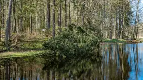 Foto spacer po lesie miejskim w Giżycku, kwiecień 2023 r. - zdjęcie 17