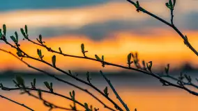 Zachód słońca nad jeziorem Dejgunek, kwiecień 2023 r.  - zdjęcie 24