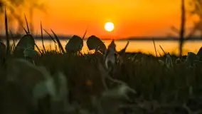 Zachód słońca w Pierkunowie, jezioro Kisajno, kwiecień 2023 r. - zdjęcie 17