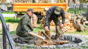 Przy Wilczym Szańcu posadzono 5000 dębów - zdjęcie 35