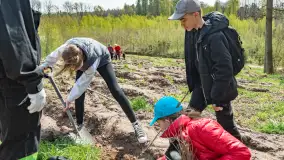 Przy Wilczym Szańcu posadzono 5000 dębów - zdjęcie 19