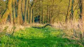 Wiosenny zachód słońca nad Darginem - zdjęcie 10