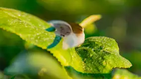 Wiosenny zachód słońca nad Darginem - zdjęcie 41