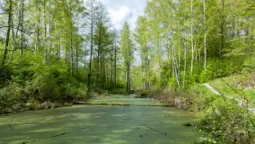 Śluzy na kanale mazurskim, maj 2023 - zdjęcie 12