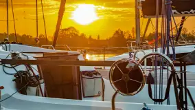 Zachód Słońca w Tle Dla Mew, jezioro Boczne, maj 2023 r. - zdjęcie 22