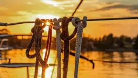 Zachód Słońca w Tle Dla Mew, jezioro Boczne, maj 2023 r. - zdjęcie 5