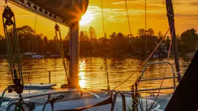 Zachód Słońca w Tle Dla Mew, jezioro Boczne, maj 2023 r. - zdjęcie 17