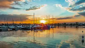 Zachód Słońca w Tle Dla Mew, jezioro Boczne, maj 2023 r. - zdjęcie 14