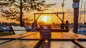 Zachód Słońca w Tle Dla Mew, jezioro Boczne, maj 2023 r. - zdjęcie 19