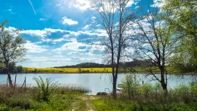 Keja Makarina nad jeziorem Wojnowo, maj 2023 r. - zdjęcie 15