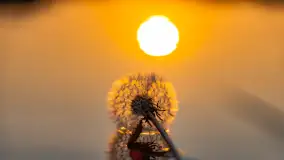 Majowy zachód słońca nad jeziorem Siercze, 2023 - zdjęcie 32