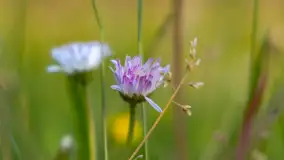 Majowy zachód słońca nad jeziorem Siercze, 2023 - zdjęcie 26