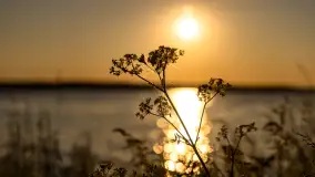 Zachód słońca nad jeziorem Niegocin, maj 2023 r. - zdjęcie 8