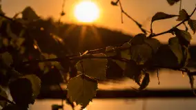 Zachód słońca nad jeziorem Kisajno widziany z dawnego Almaturu - zdjęcie 14