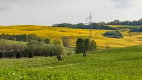 Wspomnienia rzepakowych pól na Mazurach 2023 - zdjęcie 1