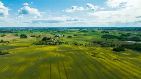 Wspomnienia rzepakowych pól na Mazurach 2023 - zdjęcie 23