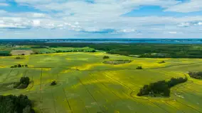 Wspomnienia rzepakowych pól na Mazurach 2023 - zdjęcie 67