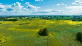 Wspomnienia rzepakowych pól na Mazurach 2023 - zdjęcie 25