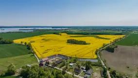 Wspomnienia rzepakowych pól na Mazurach 2023 - zdjęcie 32