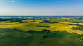 Wspomnienia rzepakowych pól na Mazurach 2023 - zdjęcie 39