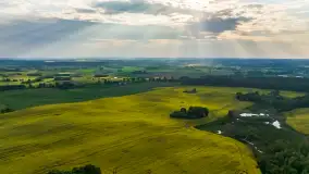 Wspomnienia rzepakowych pól na Mazurach 2023 - zdjęcie 37