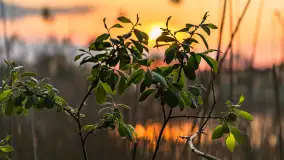 Zachód słońca nad jeziorem Mój, maj 2023 r. - zdjęcie 8