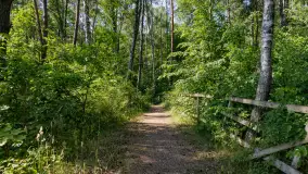 Jezioro Seksty i okolice kanału Jeglińskiego, czerwiec 2023 r. - zdjęcie 14