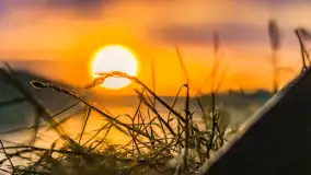 Zachód słońca nad jeziorem Tałty w Mikołajkach, czerwiec 2023 r. - zdjęcie 15