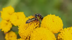 Najmniejsi mieszkańcu Mazur w naszym obiektywie, lipiec 2023 r. - zdjęcie 24