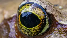 Najmniejsi mieszkańcu Mazur w naszym obiektywie, lipiec 2023 r. - zdjęcie 47