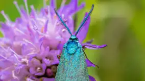 Najmniejsi mieszkańcu Mazur w naszym obiektywie, lipiec 2023 r. - zdjęcie 3