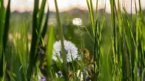 Zachód słońca nad jeziorem Dejgunek, maj 2023 r. - zdjęcie 8