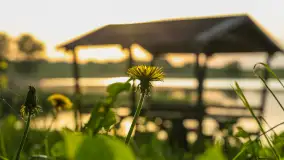 Zachód słońca nad jeziorem Dejgunek, maj 2023 r. - zdjęcie 12