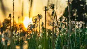 Zachód słońca nad jeziorem Dejgunek, maj 2023 r. - zdjęcie 15