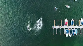 Fotorelacja z Arbuzobrania i Mistrzostw Polski w Flyboardingu cz. II - zdjęcie 15