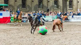 Fotorelacja z czempionatu w Stadzie Ogierów w Kętrzynie, lipiec 2023 - zdjęcie 56