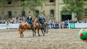 Fotorelacja z czempionatu w Stadzie Ogierów w Kętrzynie, lipiec 2023 - zdjęcie 10