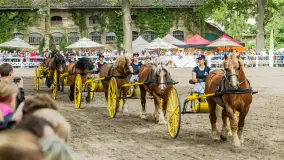 Fotorelacja z czempionatu w Stadzie Ogierów w Kętrzynie, lipiec 2023 - zdjęcie 52