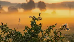 Wschód słońca we wsi Pożarki, wrzesień 2023 r. - zdjęcie 13