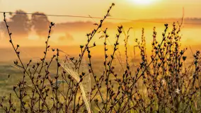 Wschód słońca we wsi Pożarki, wrzesień 2023 r. - zdjęcie 33