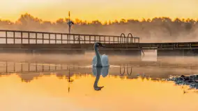 Wrześniowy i mglisty wschód słońca nad jeziorem Mój - zdjęcie 39