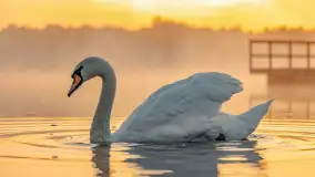 Wrześniowy i mglisty wschód słońca nad jeziorem Mój - zdjęcie 13
