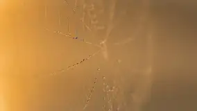 Wrześniowy i mglisty wschód słońca nad jeziorem Mój - zdjęcie 14