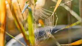 Wrześniowy i mglisty wschód słońca nad jeziorem Mój - zdjęcie 26